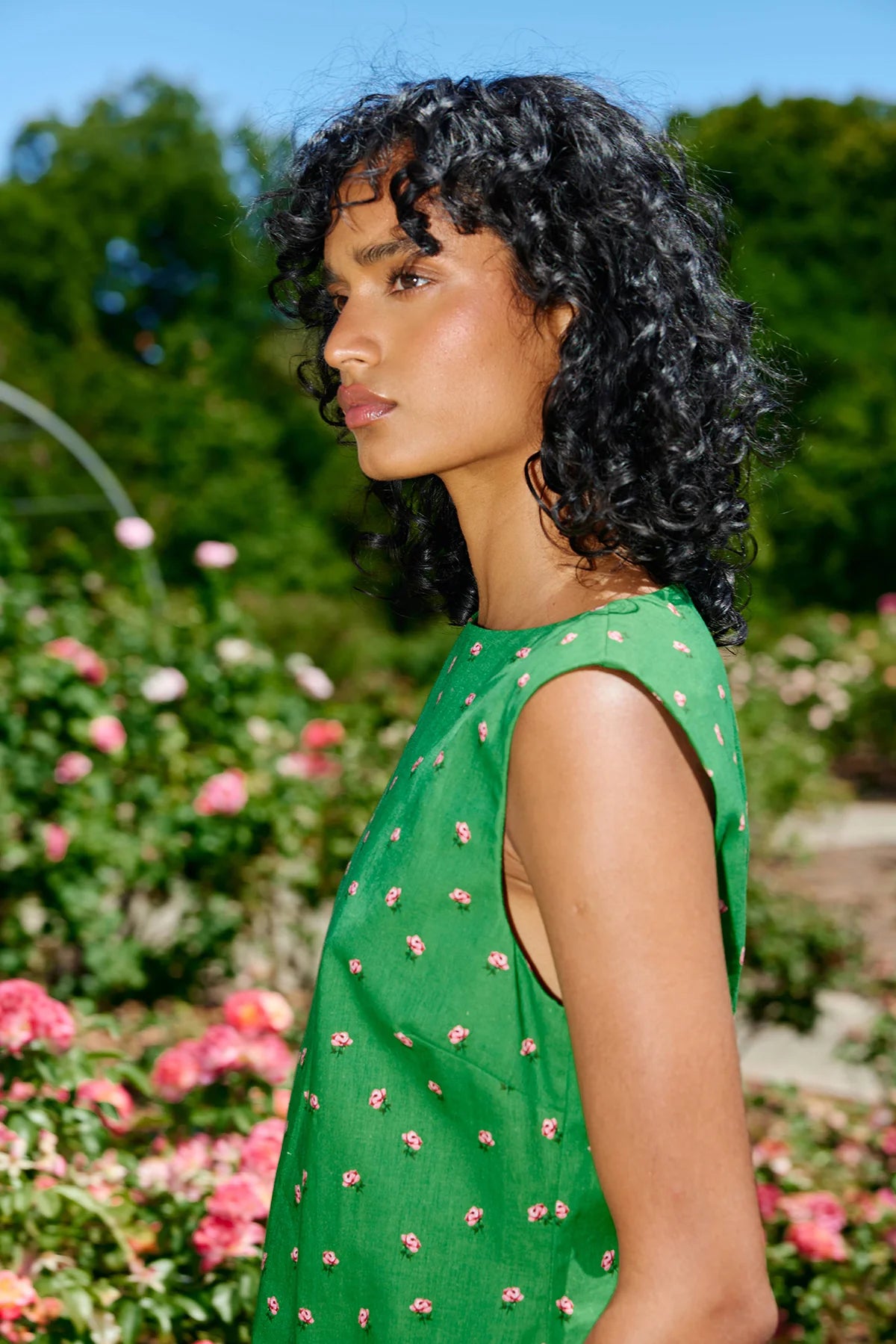 ASTON STUDIO Leolle Dress