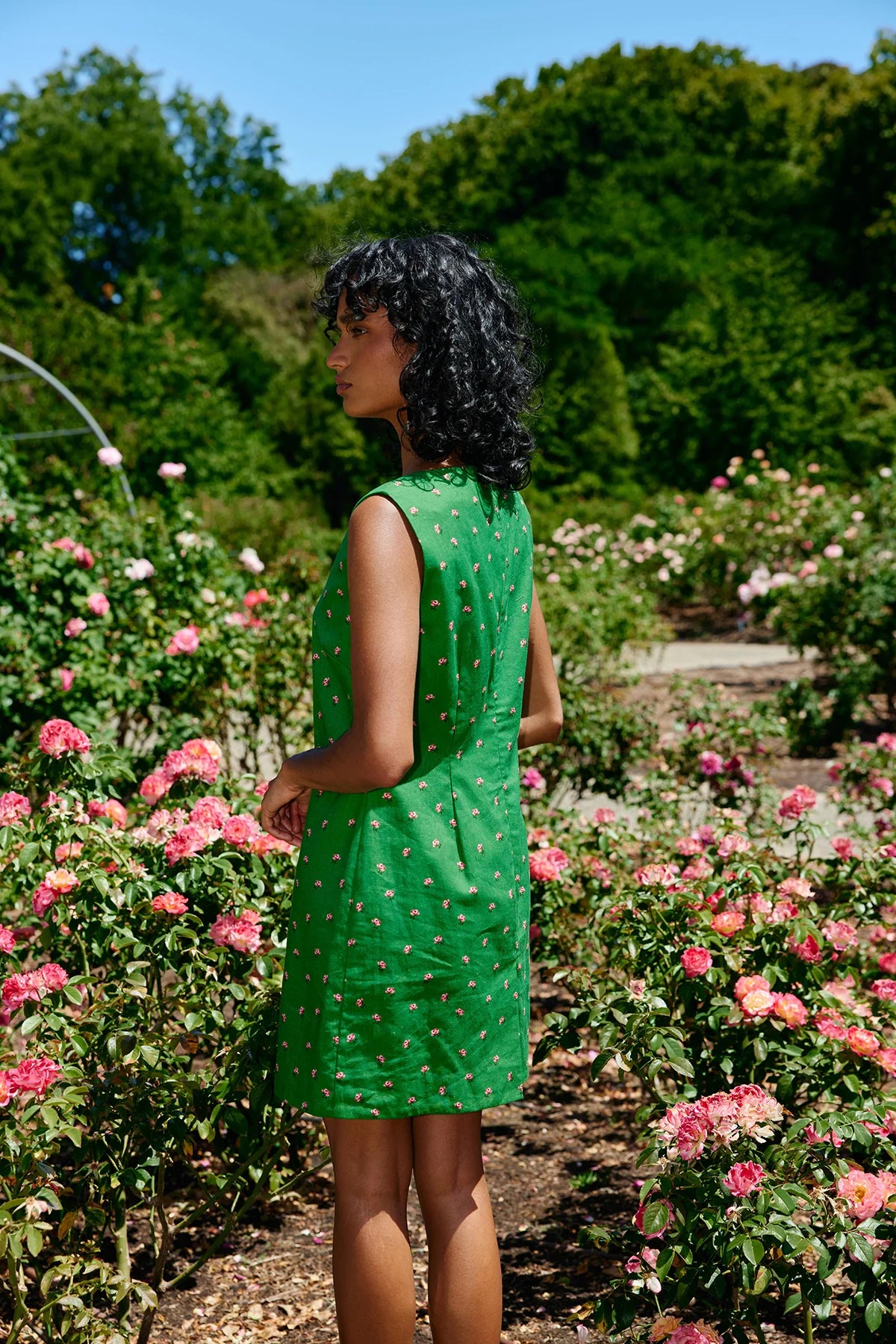 ASTON STUDIO Leolle Dress