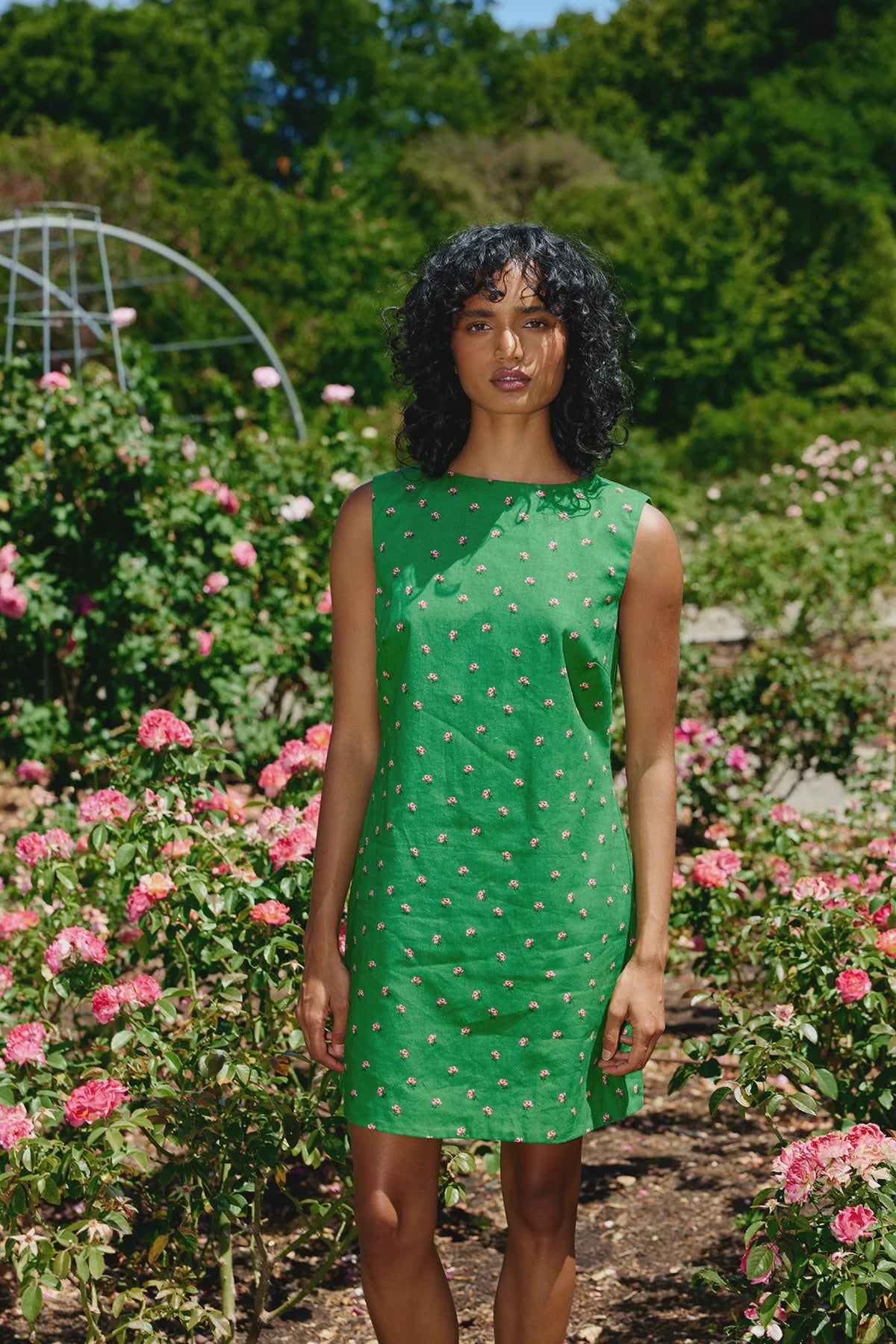 ASTON STUDIO Leolle Dress