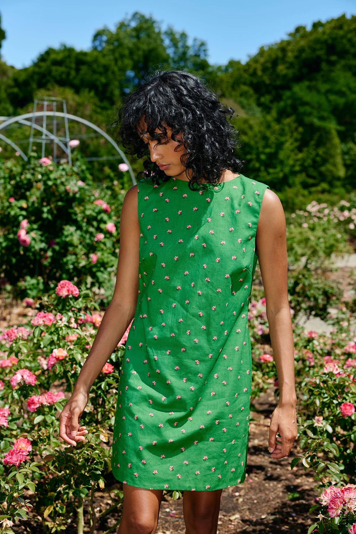 ASTON STUDIO Leolle Dress