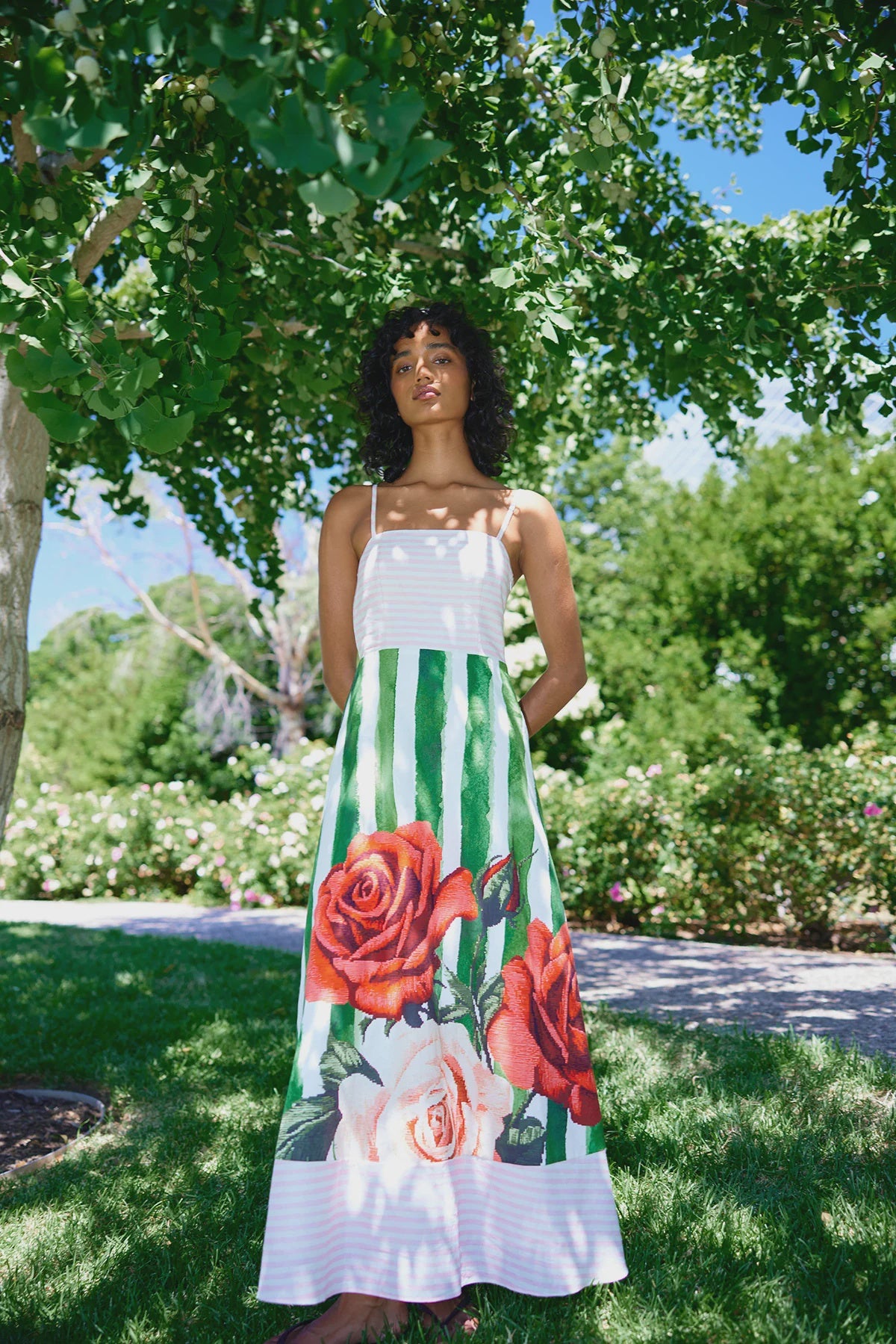 ASTON STUDIO Molly Dress - Leaf Rose Stripe