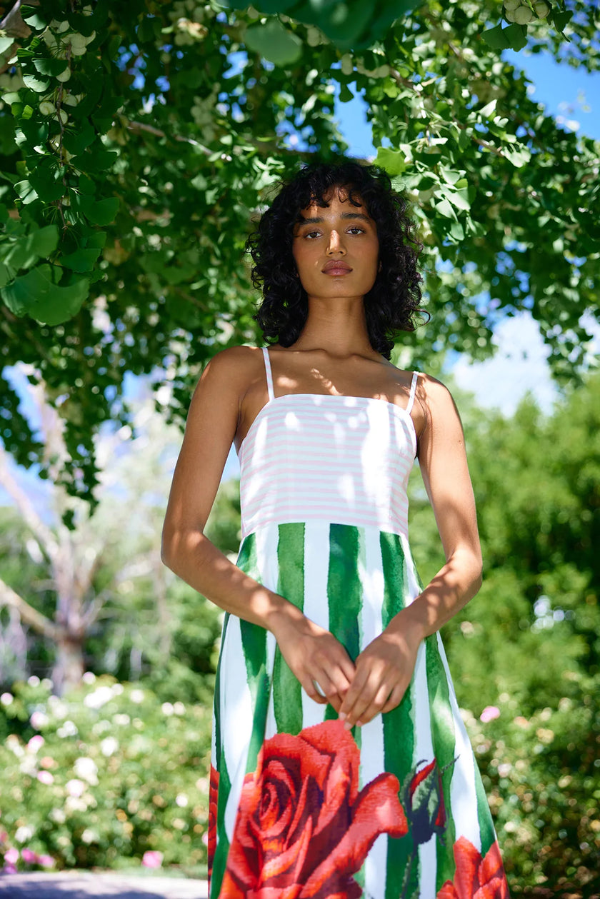 ASTON STUDIO Molly Dress - Leaf Rose Stripe