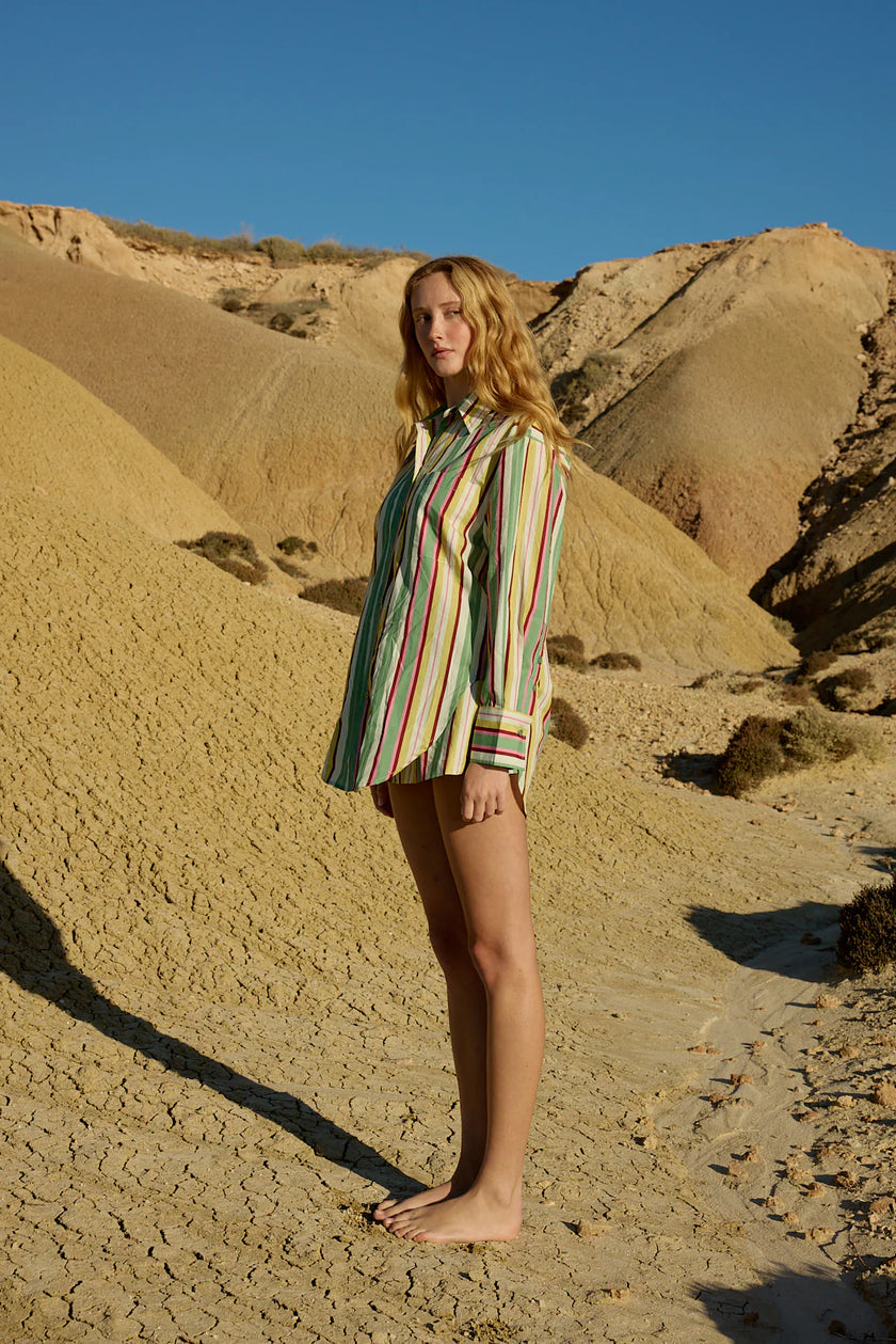 ASTON STUDIO Buddy Shirt - Meadow Stripe