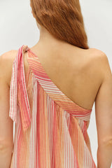 Devotion Twins Delphi Maxi Dress