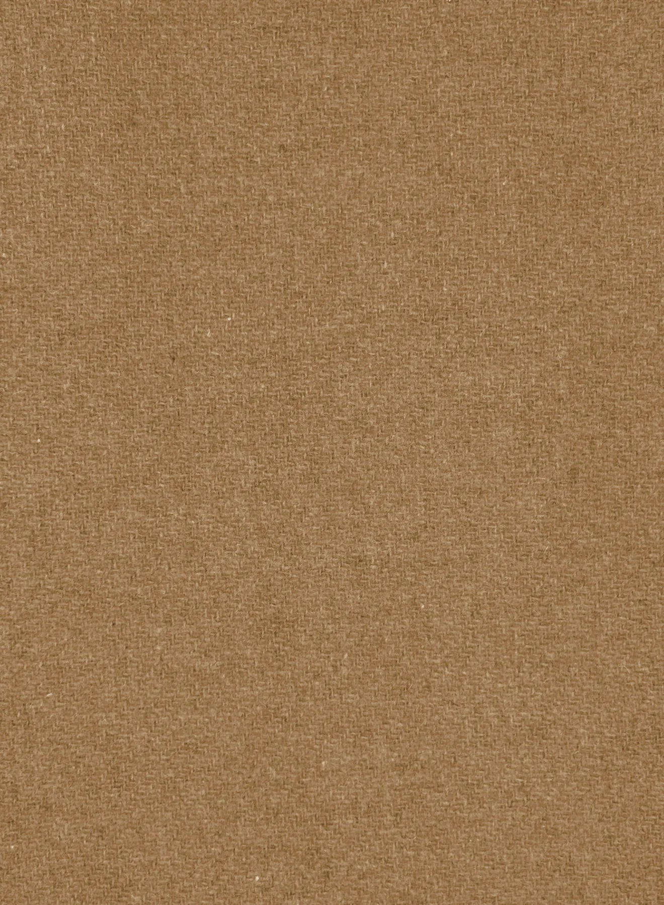 ESMAEE Eternal Coat - Camel