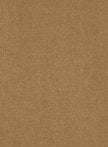 ESMAEE Eternal Coat - Camel